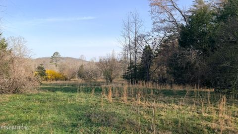 Tiny photo for 577 Blizzard Mines Rd, Harriman, TN 37748 (MLS # 1332279)