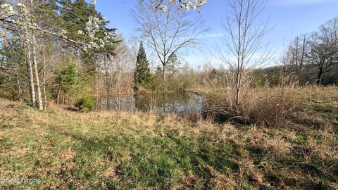 Tiny photo for 577 Blizzard Mines Rd, Harriman, TN 37748 (MLS # 1332279)