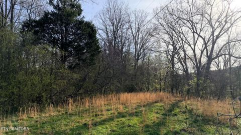 Tiny photo for 577 Blizzard Mines Rd, Harriman, TN 37748 (MLS # 1332279)
