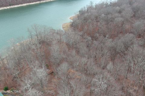 Tiny photo for Shoreside Rd, New Tazewell, TN 37825 (MLS # 1323983)