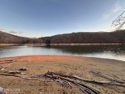 Tiny photo for Shoreside Rd, New Tazewell, TN 37825 (MLS # 1323983)