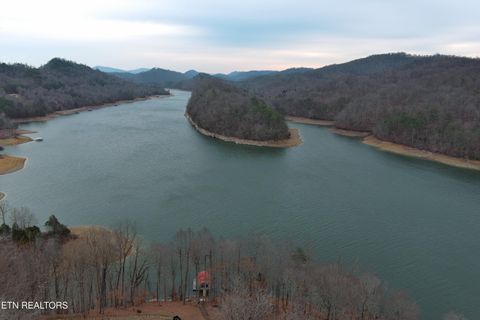 Tiny photo for Shoreside Rd, New Tazewell, TN 37825 (MLS # 1323983)