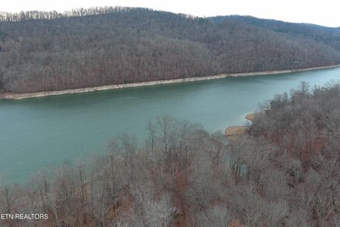 Tiny photo for Shoreside Rd, New Tazewell, TN 37825 (MLS # 1323983)