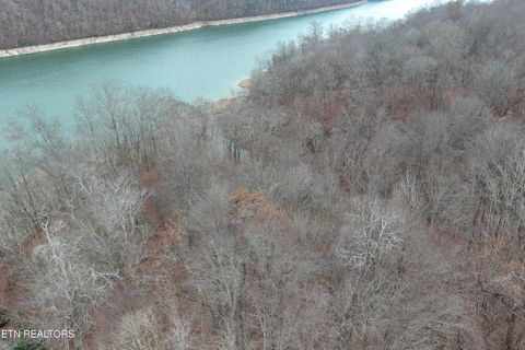 Tiny photo for Shoreside Rd, New Tazewell, TN 37825 (MLS # 1323983)