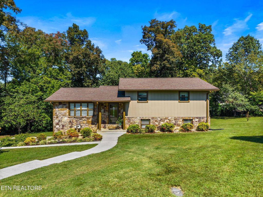Photo of 333 Beal Woods Drive, Sevierville, TN 37862 (MLS # 1316175)