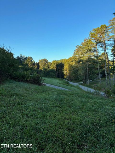 Tiny photo for 519 Whitman Hollow Rd, LaFollette, TN 37766 (MLS # 1332719)