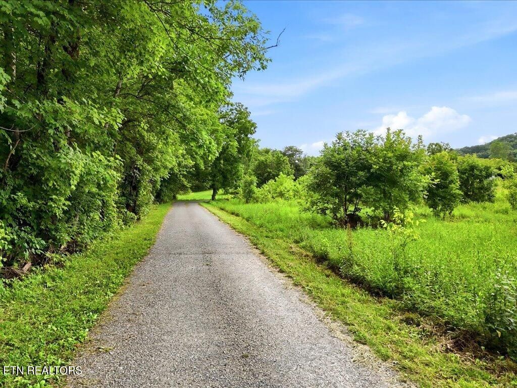 Photo of 0 Appian Rd, Bybee, TN 37713 (MLS # 1345608)