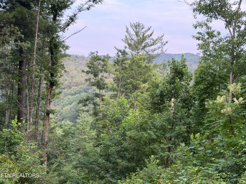Tiny photo for 3739 Green Corner Rd, Hartford, TN 37753 (MLS # 1349954)