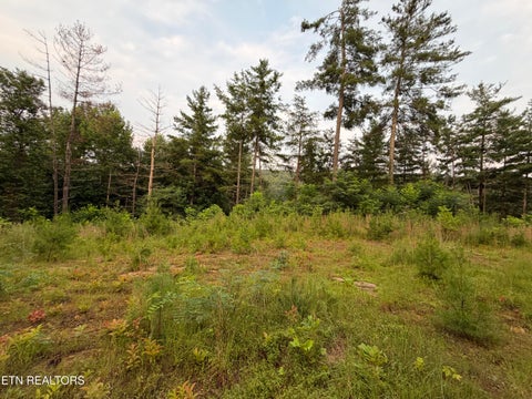 Tiny photo for 3739 Green Corner Rd, Hartford, TN 37753 (MLS # 1349954)