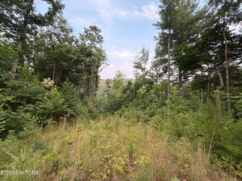 Tiny photo for 3739 Green Corner Rd, Hartford, TN 37753 (MLS # 1349954)