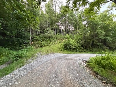 Tiny photo for 3739 Green Corner Rd, Hartford, TN 37753 (MLS # 1349954)