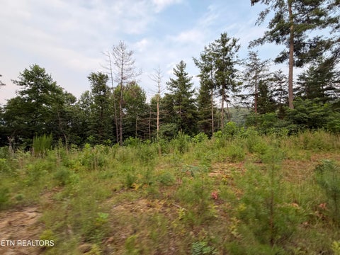 Photo of 3739 Green Corner Rd, Hartford, TN 37753 (MLS # 1349954)