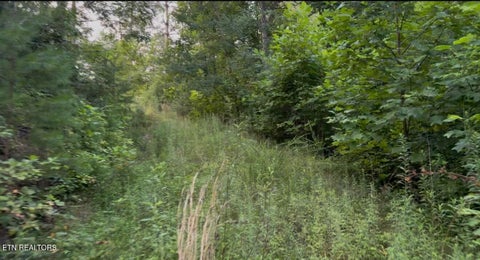 Tiny photo for 3739 Green Corner Rd, Hartford, TN 37753 (MLS # 1349954)