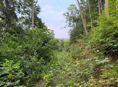 Tiny photo for 3739 Green Corner Rd, Hartford, TN 37753 (MLS # 1349954)