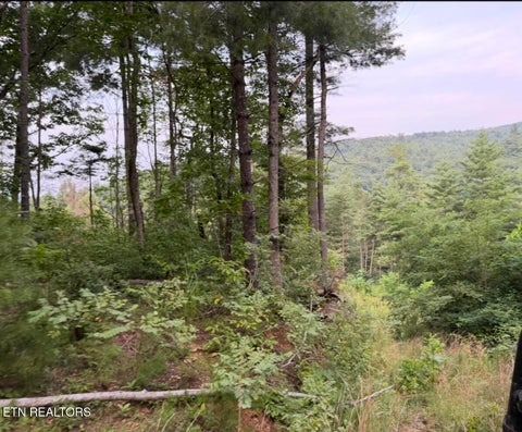 Tiny photo for 3739 Green Corner Rd, Hartford, TN 37753 (MLS # 1349954)