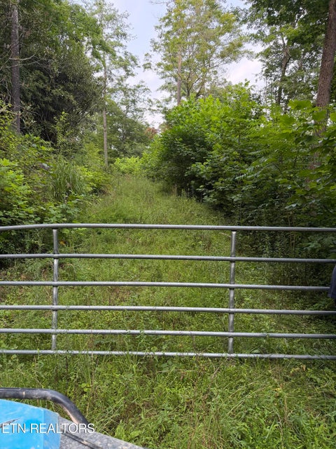 Tiny photo for 3739 Green Corner Rd, Hartford, TN 37753 (MLS # 1349954)