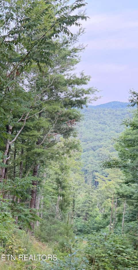 Tiny photo for 3739 Green Corner Rd, Hartford, TN 37753 (MLS # 1349954)