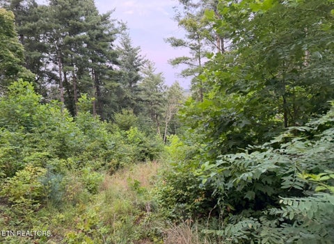 Tiny photo for 3739 Green Corner Rd, Hartford, TN 37753 (MLS # 1349954)