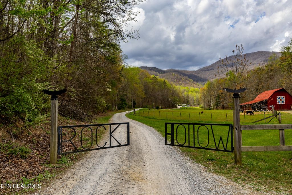 Photo of 1534 Cove Lane, Oliver Springs, TN 37840 (MLS # 1335294)