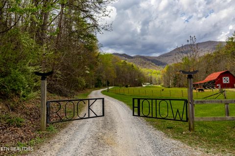 Photo of 1534 Cove Lane, Oliver Springs, TN 37840 (MLS # 1335294)