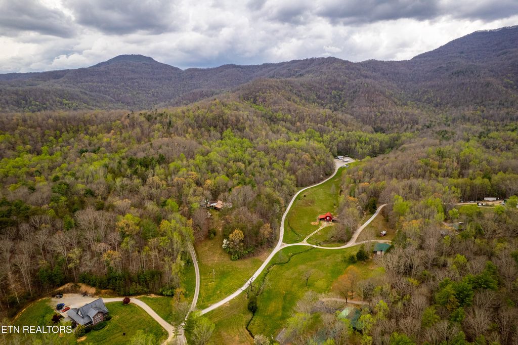 Photo of 1534 Cove Lane, Oliver Springs, TN 37840 (MLS # 1335294)