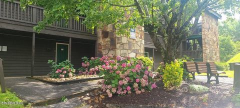 Tiny photo for 1380 Ski View Drive #2202, Gatlinburg, TN 37738 (MLS # 1319193)