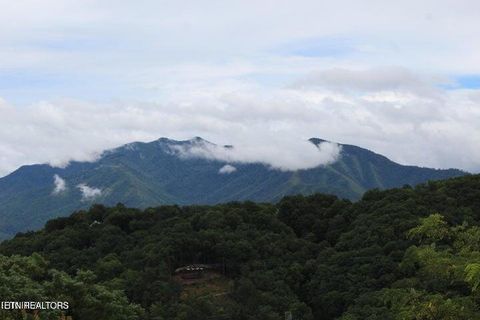 Tiny photo for 1380 Ski View Drive #2202, Gatlinburg, TN 37738 (MLS # 1319193)