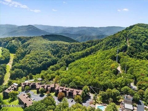 Tiny photo for 1380 Ski View Drive #2202, Gatlinburg, TN 37738 (MLS # 1319193)
