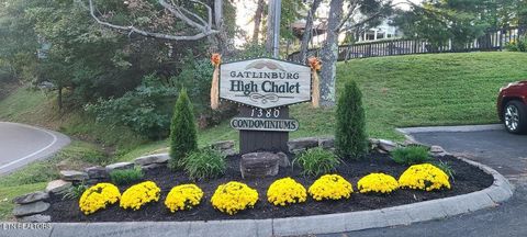 Tiny photo for 1380 Ski View Drive #2202, Gatlinburg, TN 37738 (MLS # 1319193)