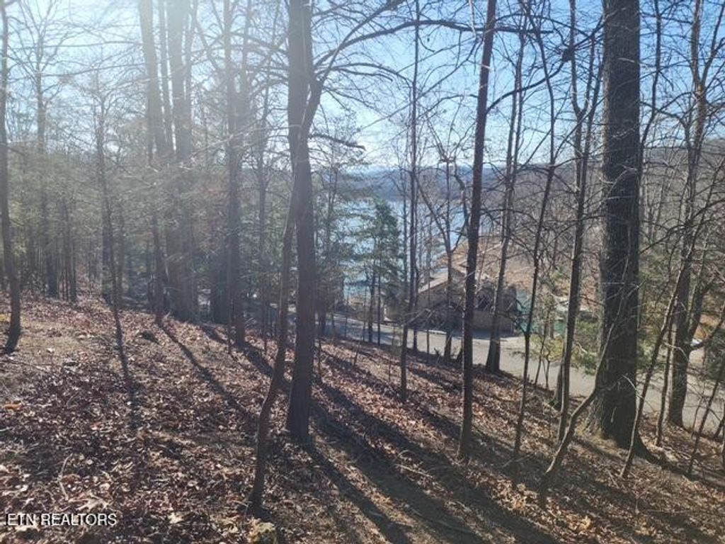 Photo of Deer Pond Circle, LaFollette, TN 37766 (MLS # 1281466)