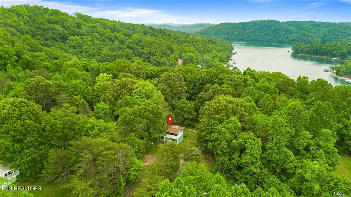 157 Chestnut Circle