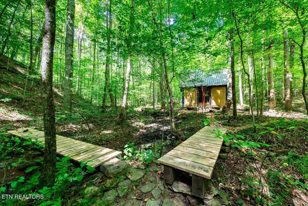 Photo of 755 Bear Branch Rd, Wartburg, TN 37887 (MLS # 1314202)