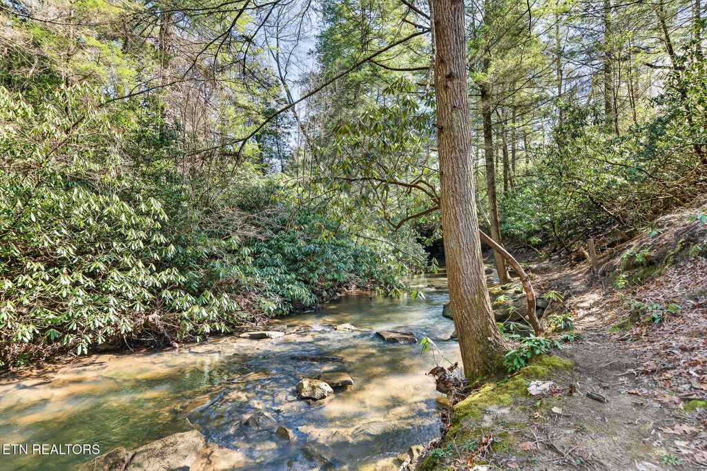 Photo of 1335 Laurel Way, Monterey, TN 38574 (MLS # 1332455)