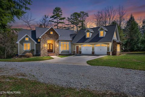 Photo of 1335 Laurel Way, Monterey, TN 38574 (MLS # 1332455)