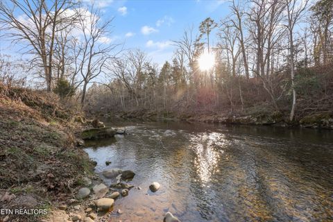 Tiny photo for 1956 Pittman Center Rd, Sevierville, TN 37876 (MLS # 1326651)
