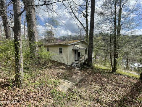 805 Indian River Boat Dock Rd Rd Jacksboro TN 37757
