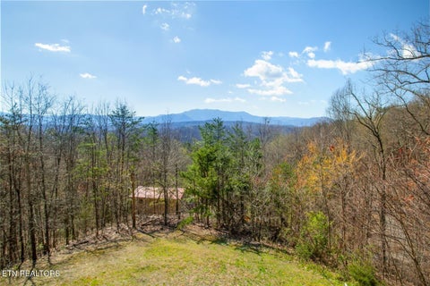 Tiny photo for 1625 Bear Claw Way, Sevierville, TN 37862 (MLS # 1359861)