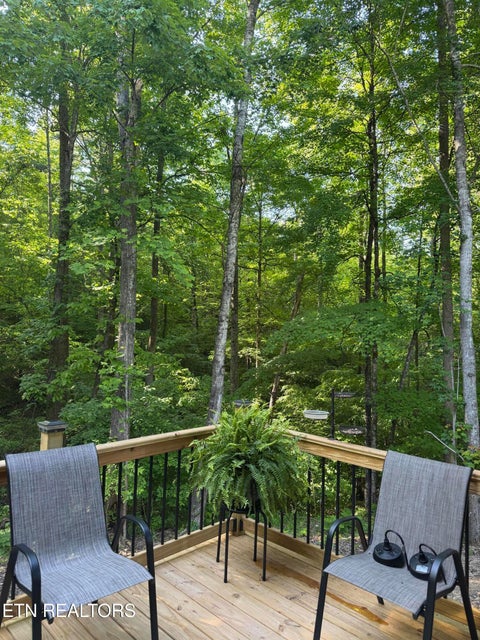 Tiny photo for 3730 Clayton Way Way, Sevierville, TN 37876 (MLS # 1350196)