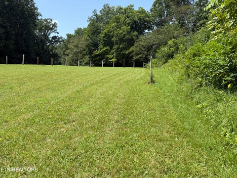 Tiny photo for 807 New Clear Branch Rd, Rocky Top, TN 37769 (MLS # 1353055)