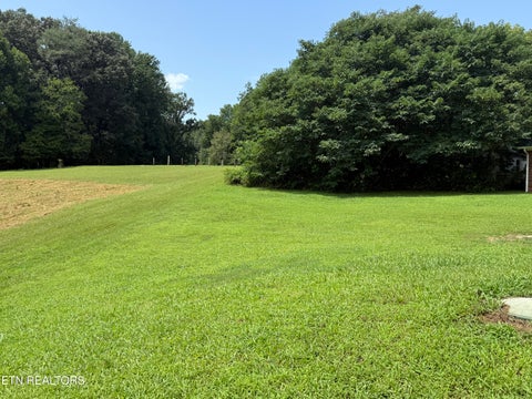 Tiny photo for 807 New Clear Branch Rd, Rocky Top, TN 37769 (MLS # 1353055)