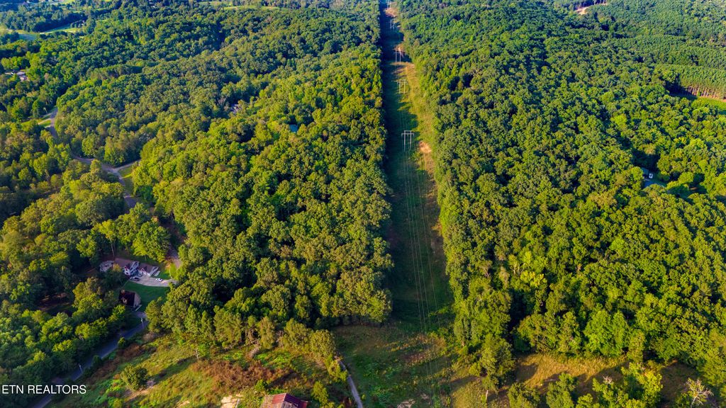 Photo of 0 Lake Forest Rd Drive, Spring City, TN 37381 (MLS # 1292003)