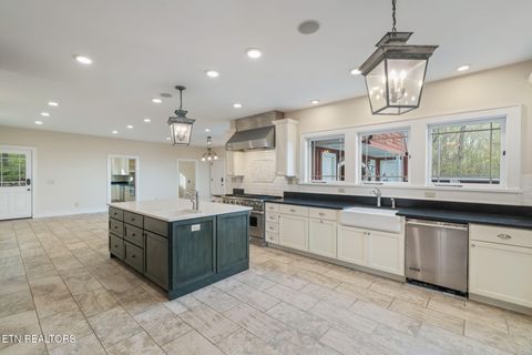 Tiny photo for 692 Possum Trot Rd, Grandview, TN 37337 (MLS # 1336242)