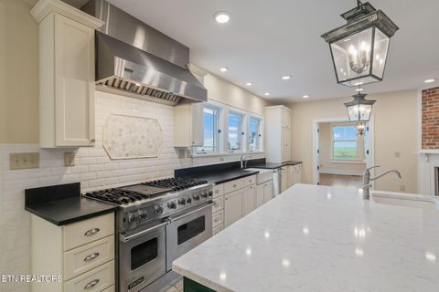 Tiny photo for 692 Possum Trot Rd, Grandview, TN 37337 (MLS # 1336242)