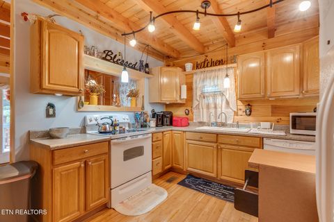 Tiny photo for 1121 Turkey Ridge Way, Seymour, TN 37865 (MLS # 1347605)