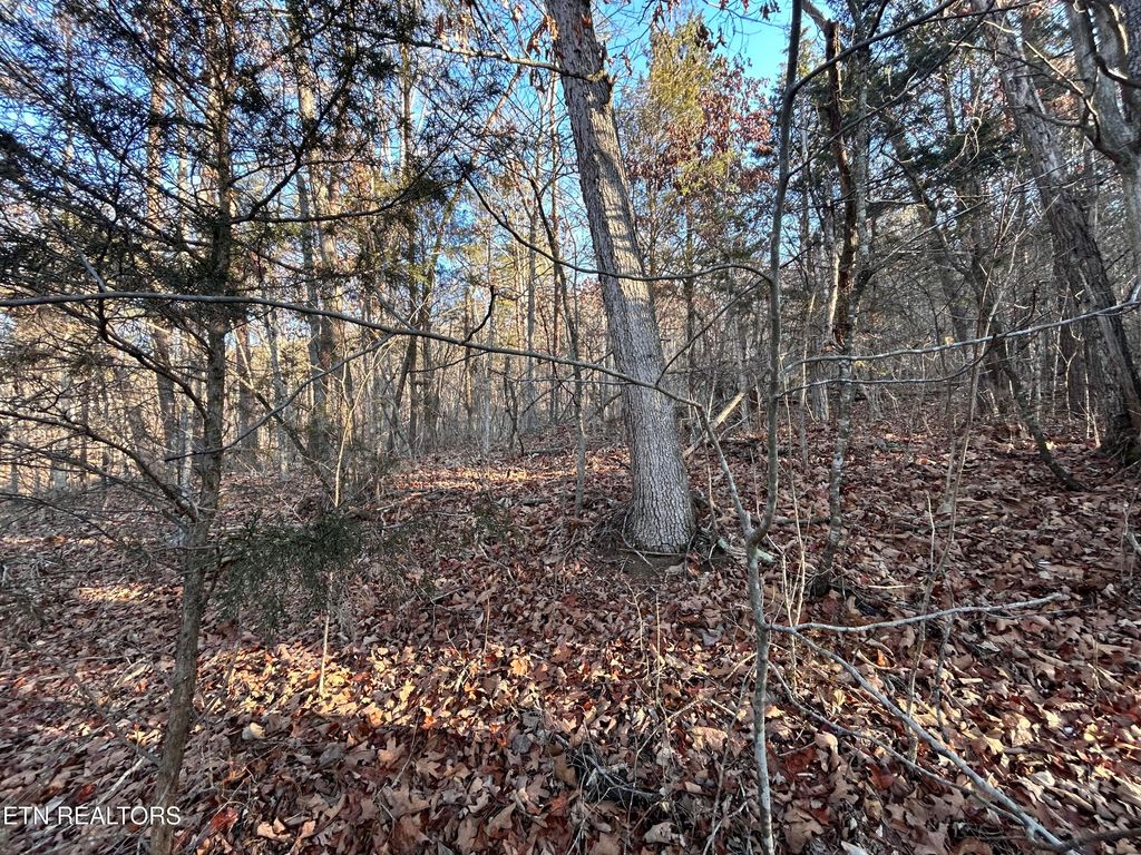 Photo of 5 N White Pine Road, Talbott, TN 37877 (MLS # 1327792)