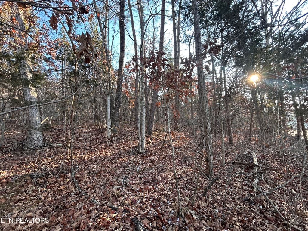 Photo of 5 N White Pine Road, Talbott, TN 37877 (MLS # 1327792)