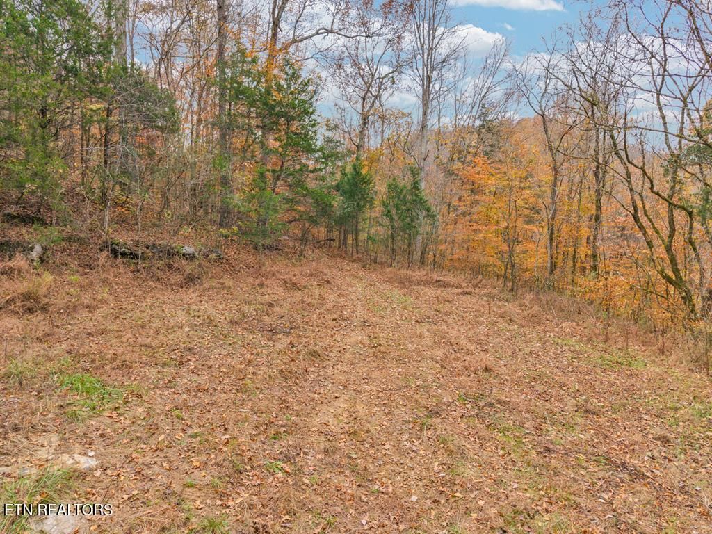 Photo of 0 Ensor Hollow Rd, Buffalo Valley, TN 38548 (MLS # 1322160)