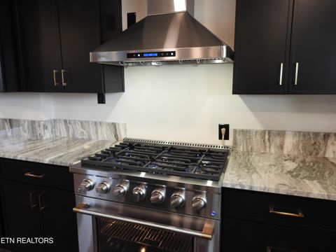 Tiny photo for 254 Karen Drive, Spring City, TN 37381 (MLS # 1329881)