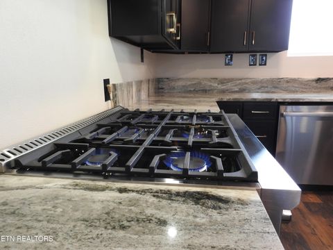 Tiny photo for 254 Karen Drive, Spring City, TN 37381 (MLS # 1329881)