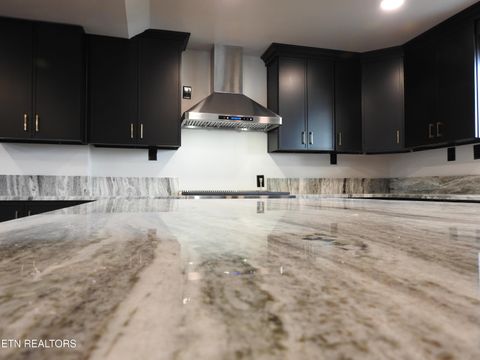 Tiny photo for 254 Karen Drive, Spring City, TN 37381 (MLS # 1329881)